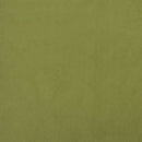 vidaXL kétszemélyes világoszöld bársony kanapéágy