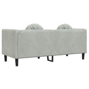 vidaXL 2 személyes világosszürke bársony kanapé párnával