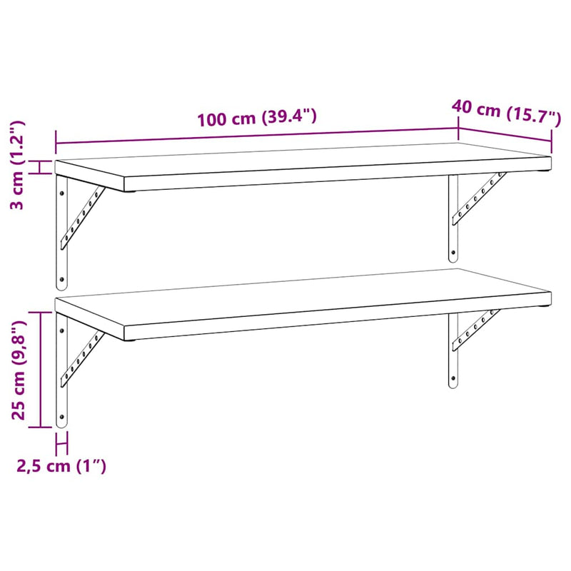 vidaXL 2 db ezüstszínű rozsdamentes acél fali polc 100x40 cm