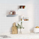 vidaXL 3 db ezüstszínű rozsdamentes acél fali polc