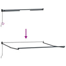 vidaXL burgundi vörös kézzel kihúzható napellenző 300 x 250 cm