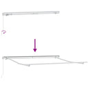 vidaXL barna kézzel kihúzható napellenző 300 x 250 cm
