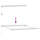 vidaXL barna kézzel kihúzható napellenző 300 x 250 cm