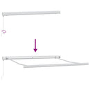 vidaXL barna kézzel kihúzható napellenző 300 x 250 cm