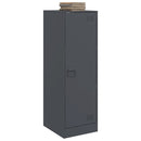 vidaXL antracitszürke acél tálalószekrény 34,5x39x107 cm