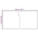 vidaXL fekete polyrattan erkélyparaván 300x100 cm