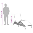 vidaXL szürke polyrattan napozóágy párnával