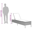 vidaXL barna polyrattan napozóágy párnával