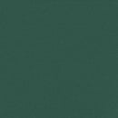 vidaXL sötétzöld behúzható oldalsó napellenző 100 x 300 cm