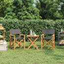 vidaXL 2 db szürke tömör tíkfa összecsukható rendezői szék