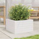 vidaXL fehér tömör fenyő virágláda 40 x 40 x 23 cm
