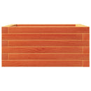 vidaXL viaszbarna tömör fenyőfa kerti virágláda 50x50x23 cm