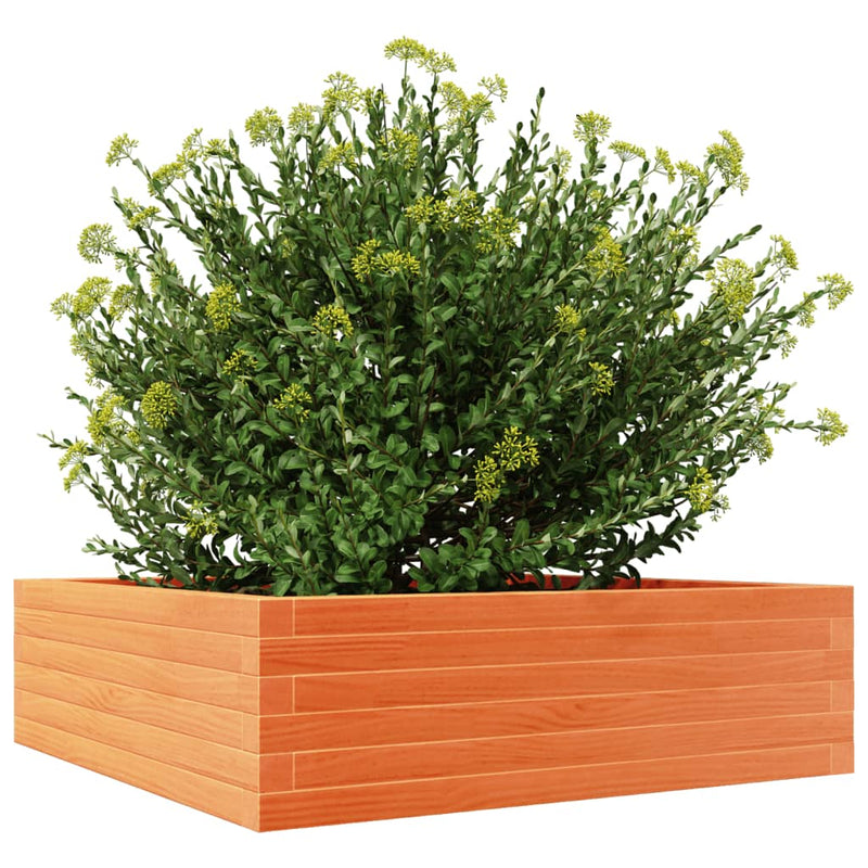 vidaXL viaszbarna tömör fenyőfa kerti virágláda 80x80x23 cm
