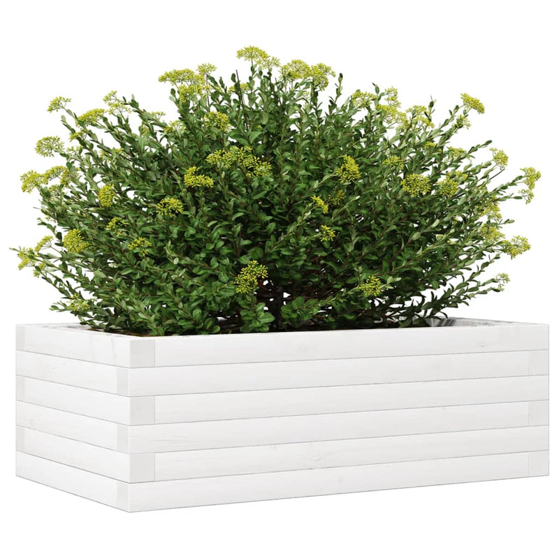 vidaXL fehér tömör fenyő virágláda 70 x 40 x 23 cm
