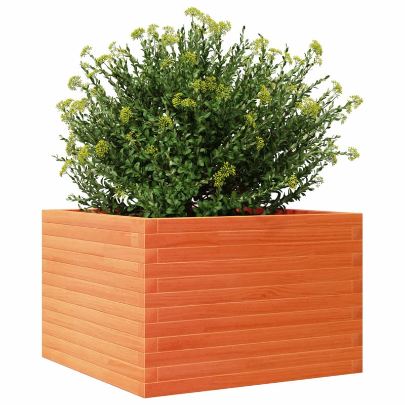 vidaXL viaszbarna tömör fenyőfa kerti virágláda 70x70x45,5 cm