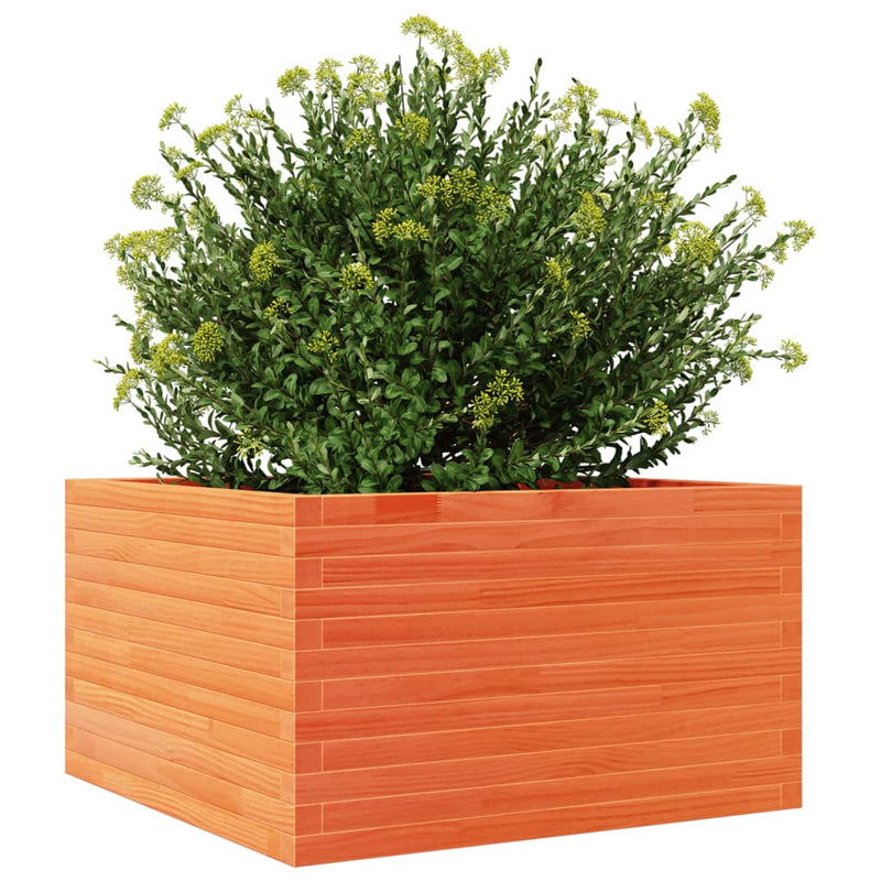 vidaXL viaszbarna tömör fenyőfa kerti virágláda 80x80x45,5 cm