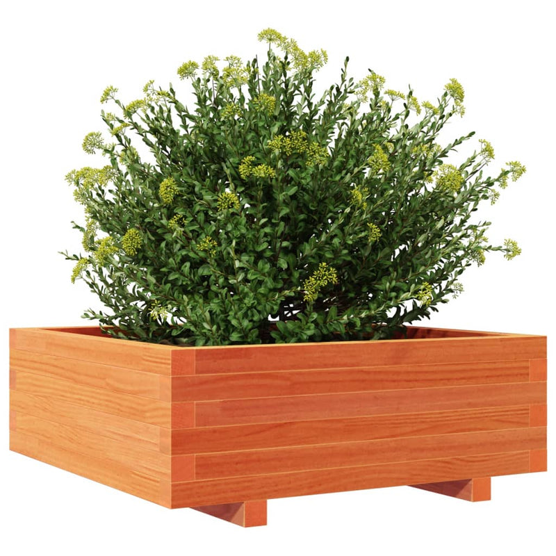 vidaXL viaszbarna tömör fenyőfa kerti virágláda 70x70x26,5 cm