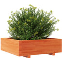 vidaXL viaszbarna tömör fenyőfa kerti virágláda 80x80x26,5 cm
