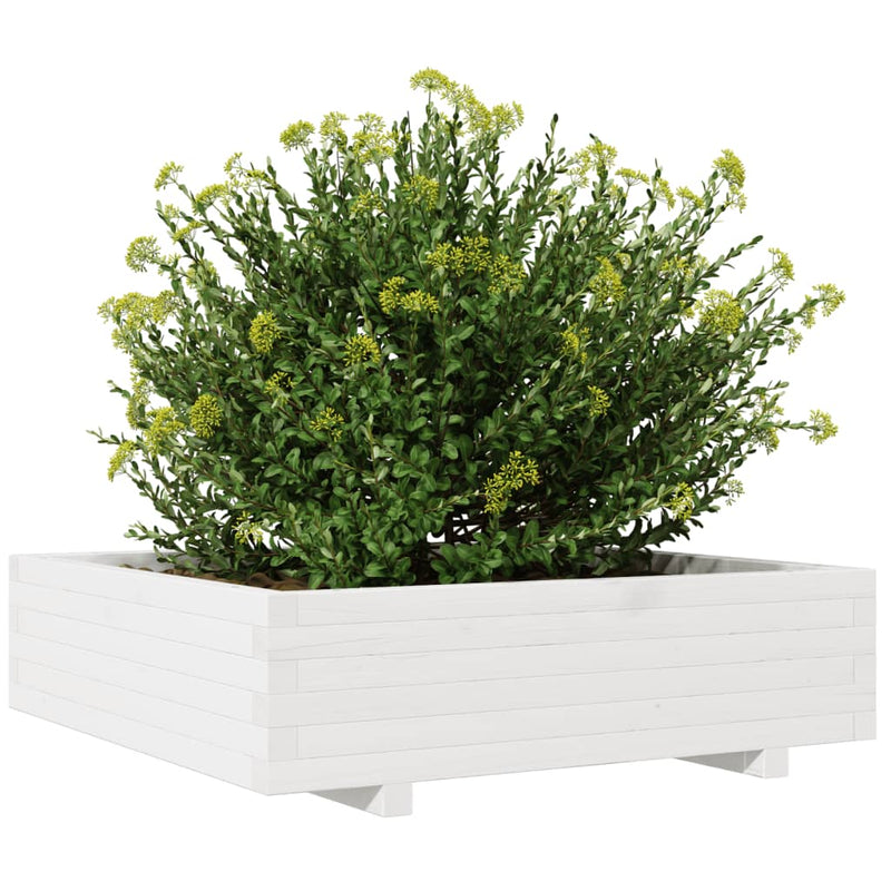 vidaXL fehér tömör fenyőfa kerti virágláda 90x90x26,5 cm