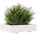 vidaXL fehér tömör fenyőfa kerti virágláda 100 x 100 x 26,5 cm