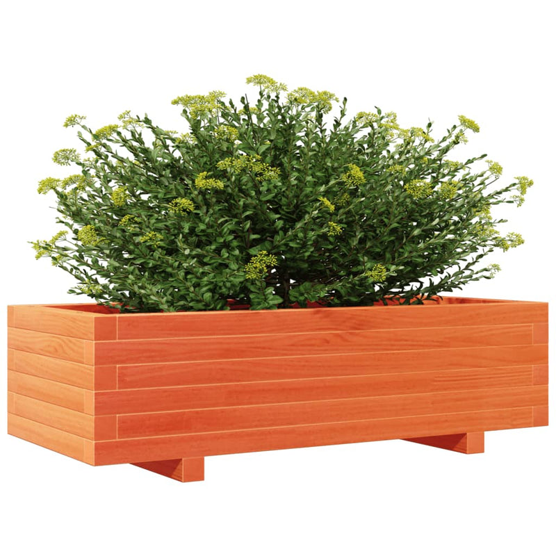vidaXL viaszbarna tömör fenyőfa kerti virágláda 90 x 90 x 23 cm