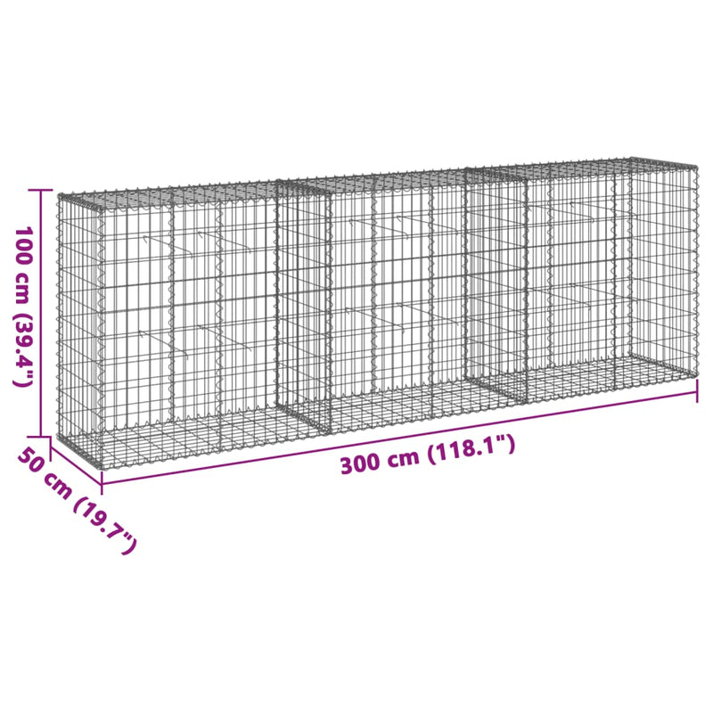 vidaXL horganyzott vas gabion kosár fedéllel 300 x 50 x 100 cm