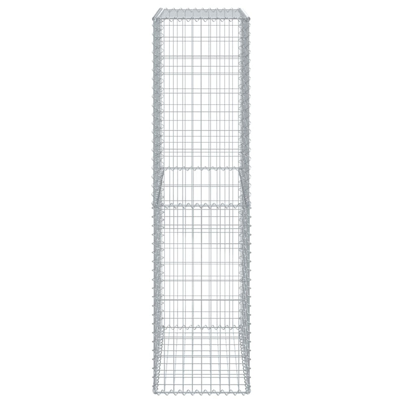 vidaXL horganyzott vas gabion kosár fedéllel 100 x 50 x 200 cm