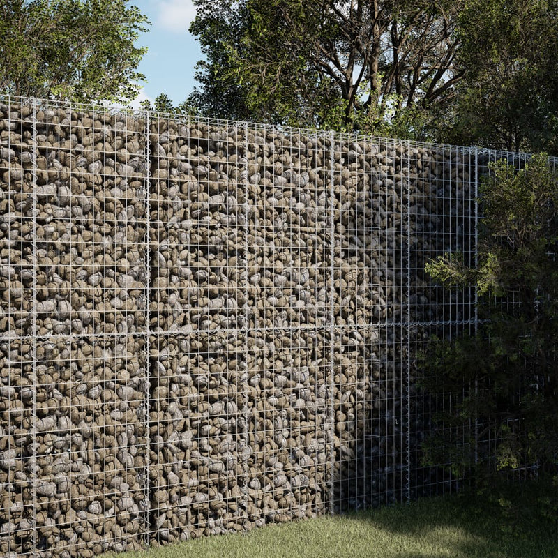 vidaXL horganyzott vas gabion kosár fedéllel 100 x 50 x 200 cm