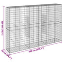 vidaXL horganyzott vas gabion kosár fedéllel 300 x 50 x 200 cm