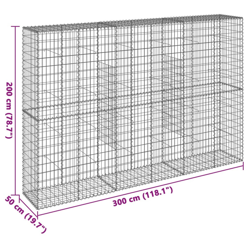 vidaXL horganyzott vas gabion kosár fedéllel 300 x 50 x 200 cm