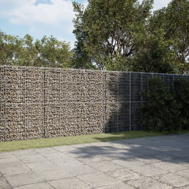 vidaXL horganyzott vas gabion kosár fedéllel 1100 x 50 x 200 cm