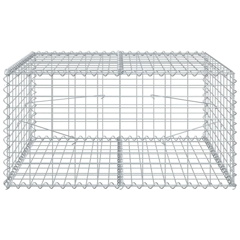 vidaXL horganyzott vas gabion kosár fedéllel 100 x 100 x 50 cm