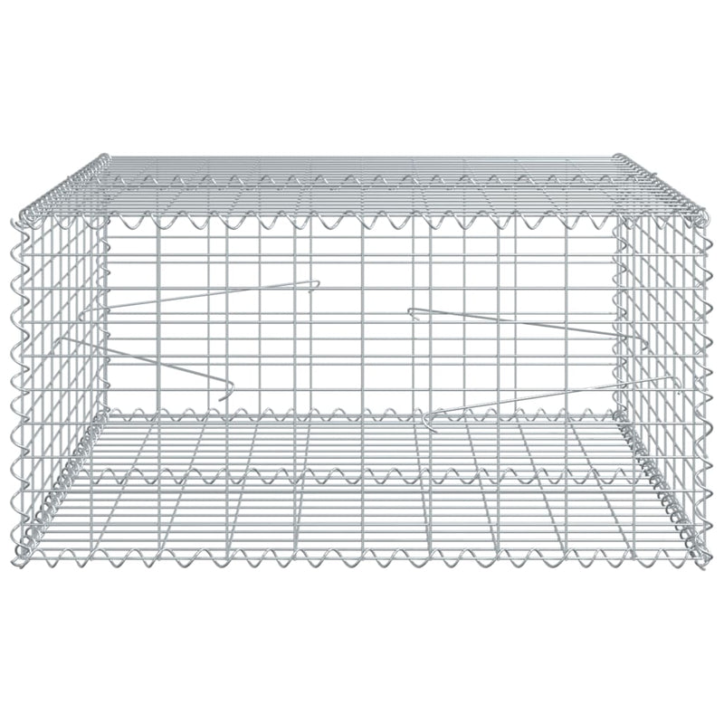 vidaXL horganyzott vas gabion kosár fedéllel 100 x 100 x 50 cm