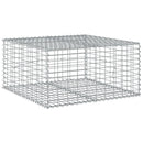 vidaXL horganyzott vas gabion kosár fedéllel 100 x 100 x 50 cm