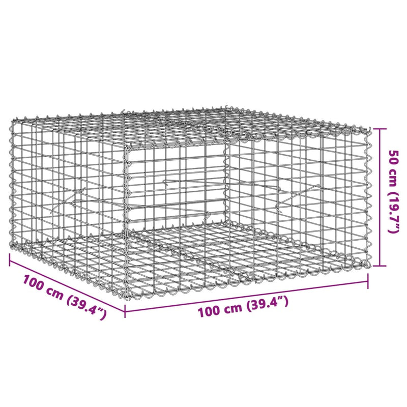 vidaXL horganyzott vas gabion kosár fedéllel 100 x 100 x 50 cm