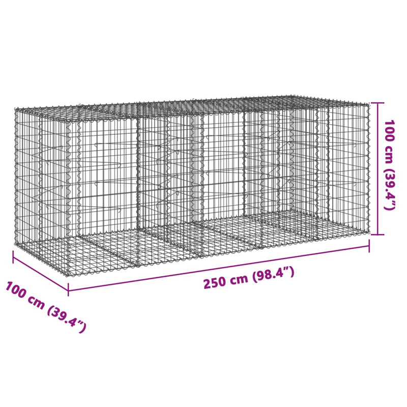 vidaXL horganyzott vas gabion kosár fedéllel 250 x 100 x 100 cm