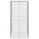 vidaXL horganyzott vas gabion kosár fedéllel 100 x 100 x 200 cm