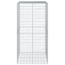 vidaXL horganyzott vas gabion kosár fedéllel 100 x 100 x 200 cm