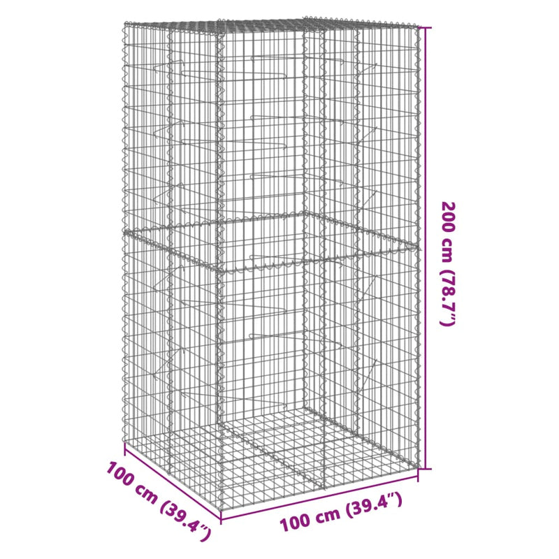 vidaXL horganyzott vas gabion kosár fedéllel 100 x 100 x 200 cm