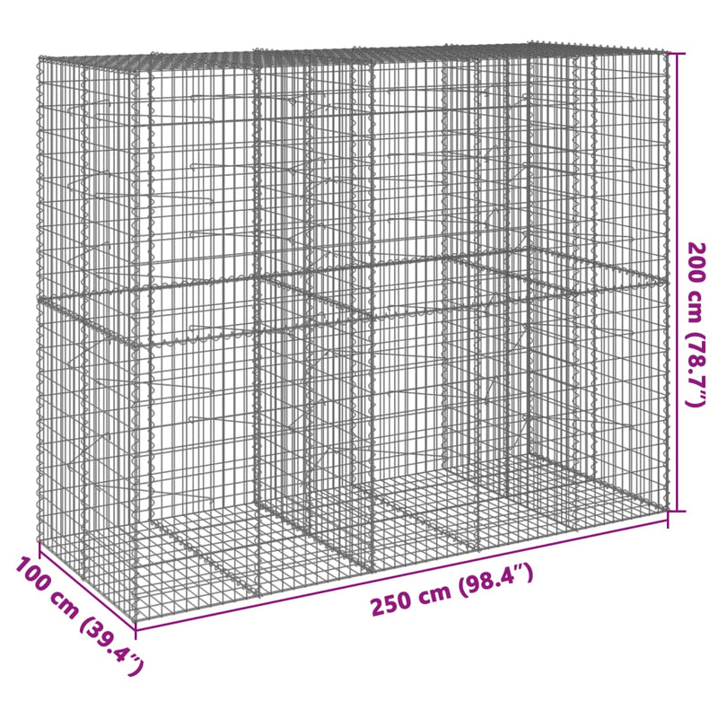 vidaXL horganyzott vas gabion kosár fedéllel 250 x 100 x 200 cm