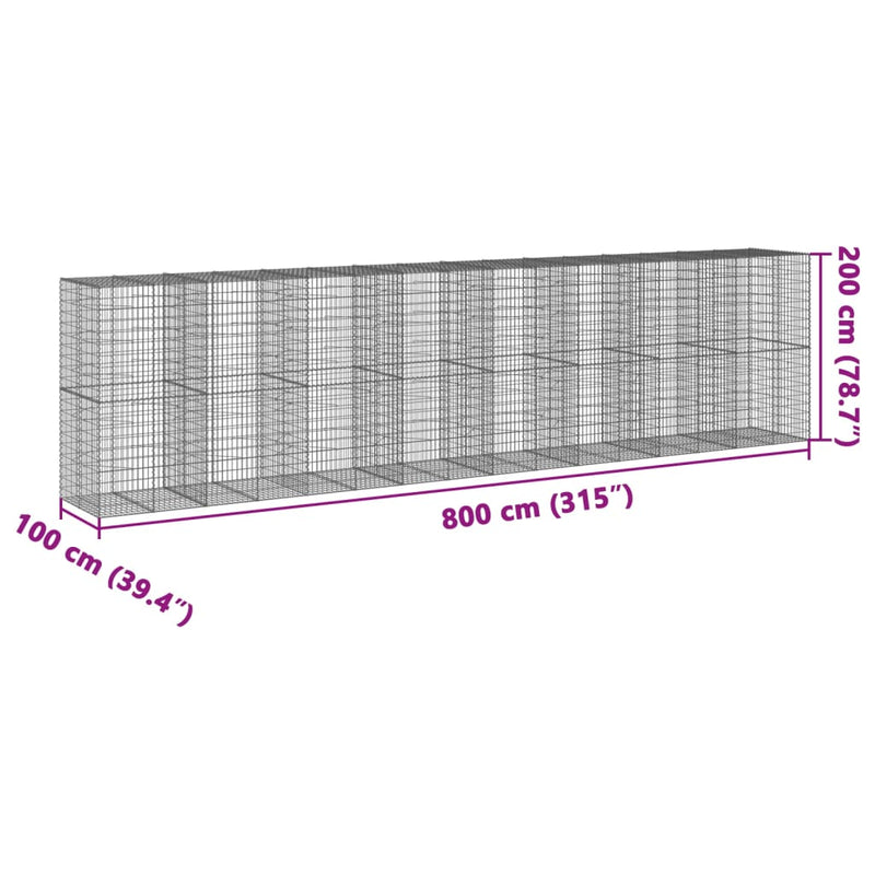 vidaXL horganyzott vas gabion kosár fedéllel 800 x 100 x 200 cm