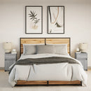 vidaXL 2 db szürke sonoma színű szerelt fa éjjeliszekrény LED-ekkel