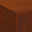 vidaXL Tűzrakó Rozsdás 80 x 50 x 96 cm Időjárásálló acél