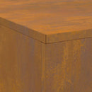 vidaXL Tűzrakó Barna 100 x 100 x 30 cm időjárásálló acél