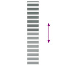 vidaXL zebrafüggönnyel sötét szürke szövetszélesség 40,9 cm poliészter