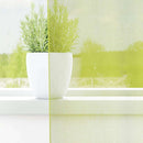 vidaXL 2 db almazöld fátyolfüggönyök rojtokkal 140x245 cm