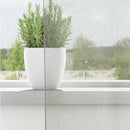 vidaXL 2 db világosszürke fátyolfüggönyök rojtokkal 140x260 cm