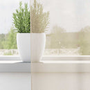 vidaXL 2 db krém színű fátyolfüggönyök fülecske tetejével 140x260 cm