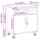 vidaXL Trolley Rolling Workbench Fekete és Szürke 75 x 45 x 85 cm