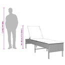 vidaXL szürke polyrattan napozóágy párnával 55x200x44 cm